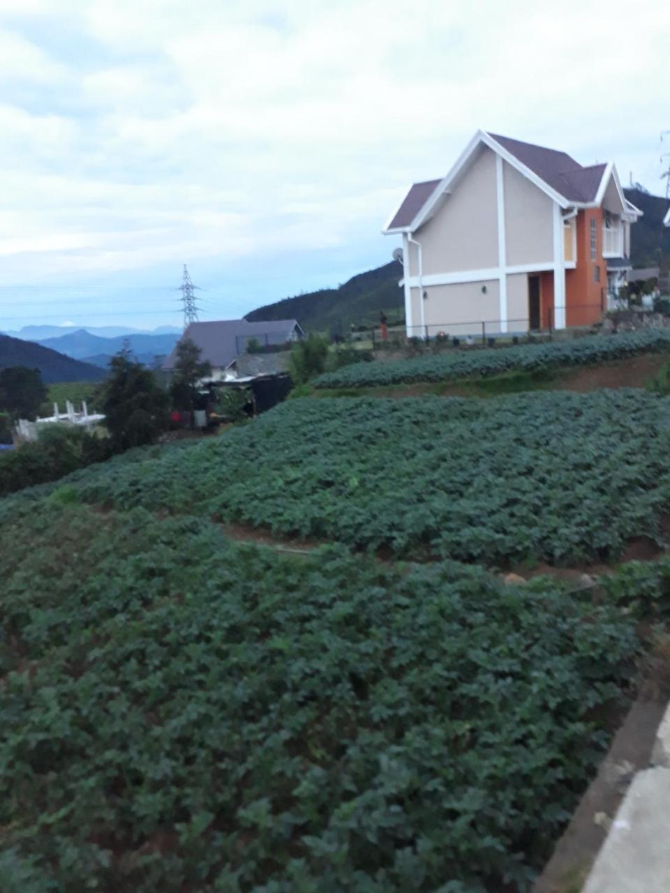 Rainyfreindz Hotell Nuwara Eliya Exteriör bild