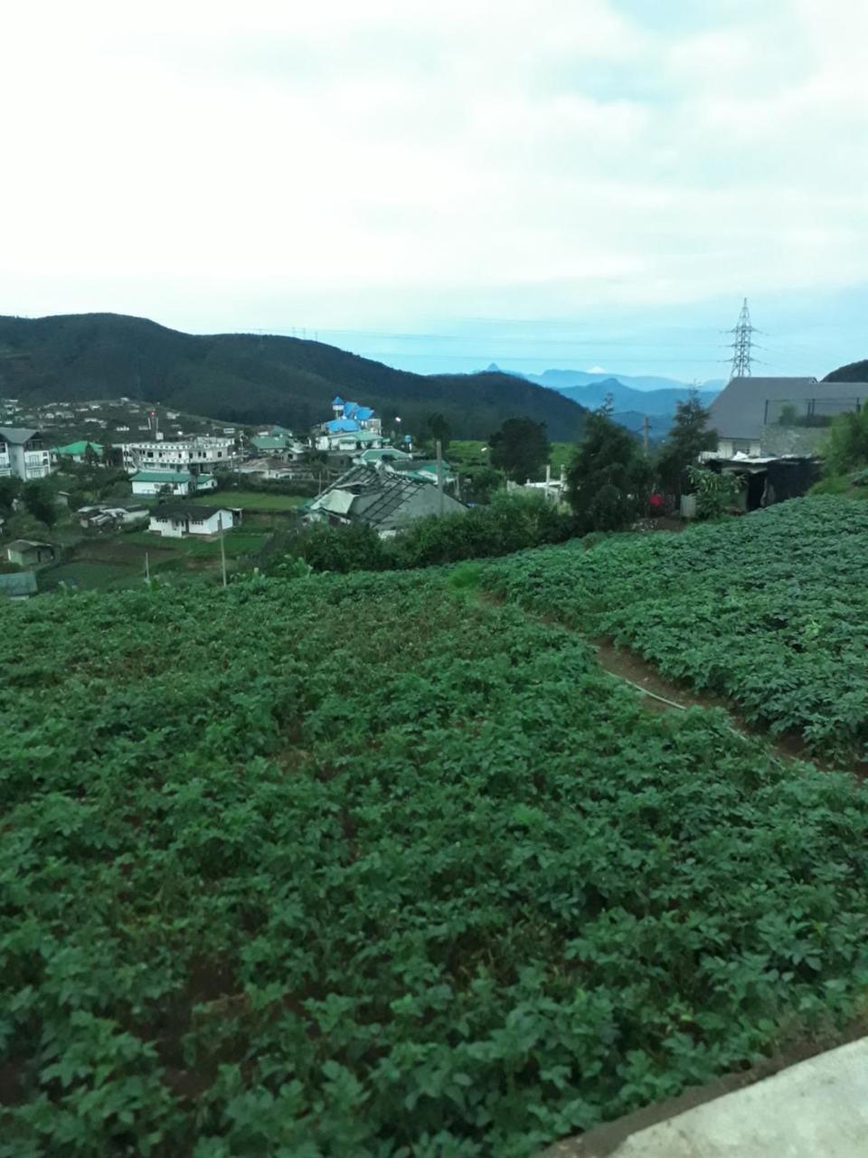 Rainyfreindz Hotell Nuwara Eliya Exteriör bild